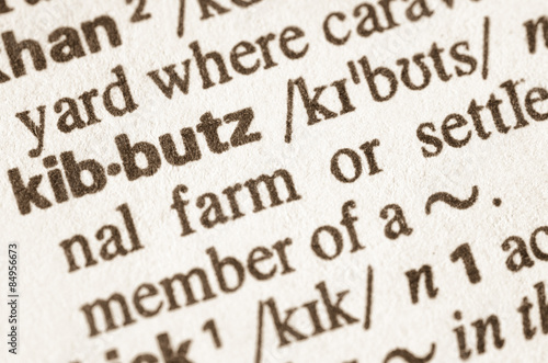 Dictionary definition of word kibutz
