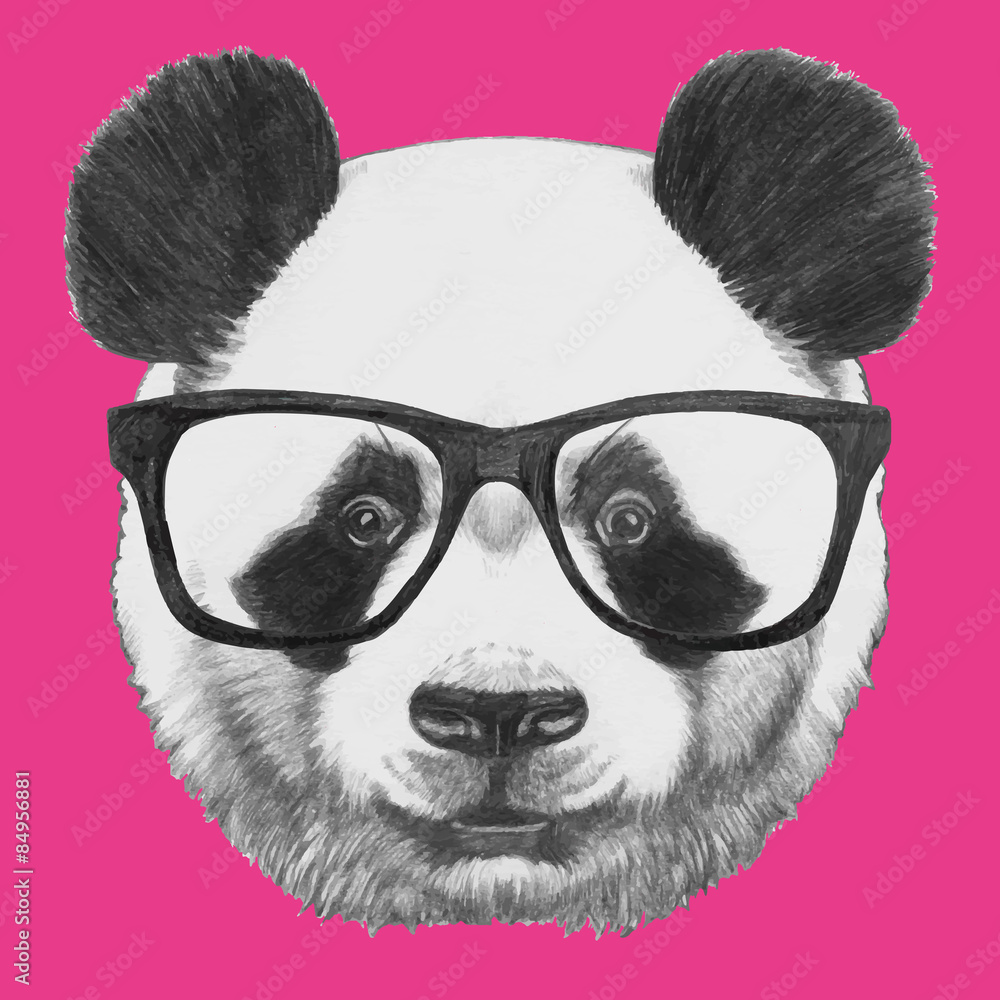 Obraz premium Ręcznie rysowane portret Pandy w okularach. Pojedyncze elementy wektorowe.