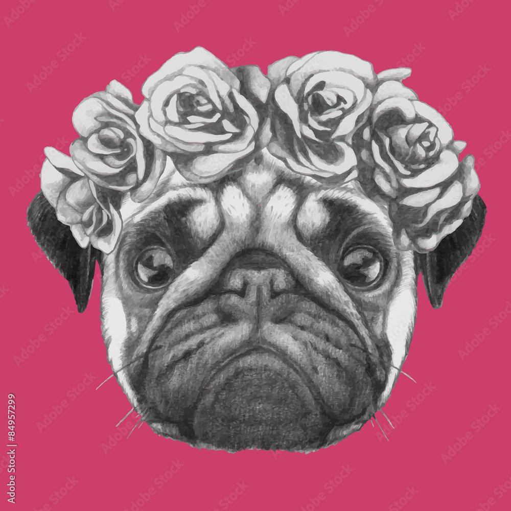 Hand drawn portrait of Pug Dog with floral head wreath. Vector isolated elements.
