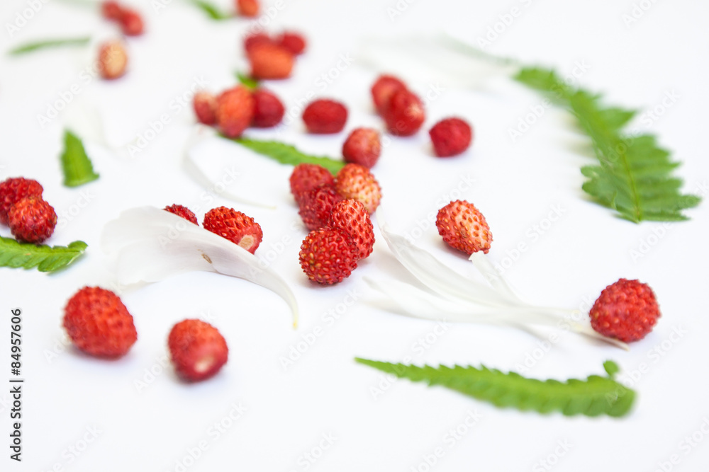 small strawberries small strawberries