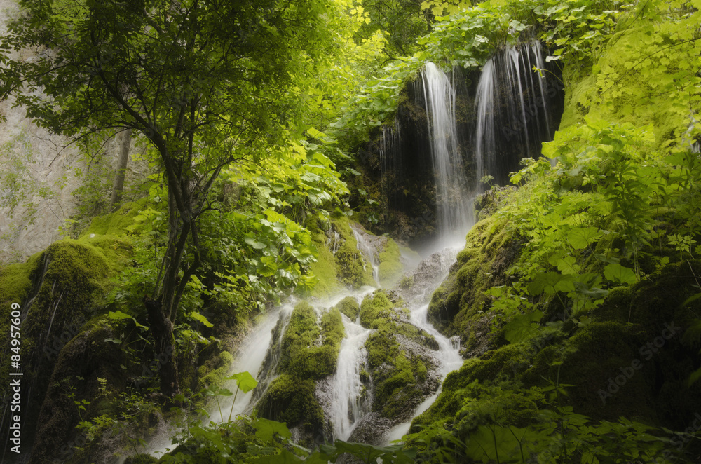 waterfall and dense vegetation in green forest - obrazy, fototapety, plakaty 