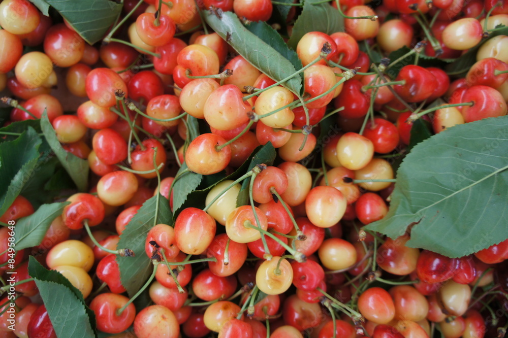 Cherries Cherries