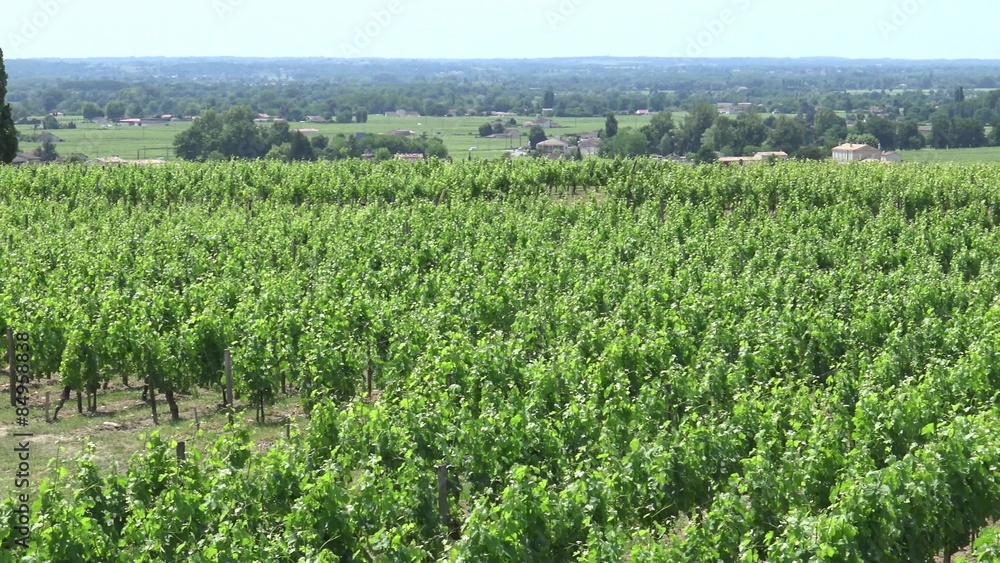 France, Gironde, Saint Emilion, Bordeaux Wineyard France, Gironde, Saint Emilion, Bordeaux Wineyard