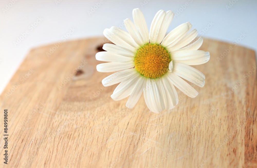 Obraz premium flower chamomile on wooden background empty