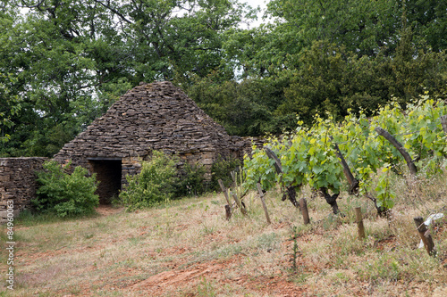 Cadole au Pays des Pierres Dorées , Vallée d'Azergues dans le Rhône photo