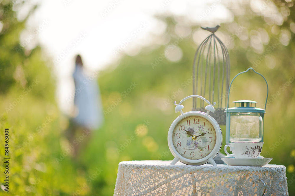 Naklejka premium decoration for pregnancy