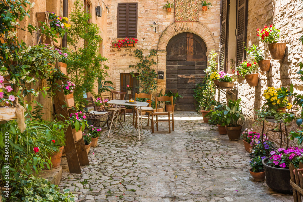 Fotografia Ingresso romantico casa con mobili da giardino e vasi di fiori  su EuroPosters.it