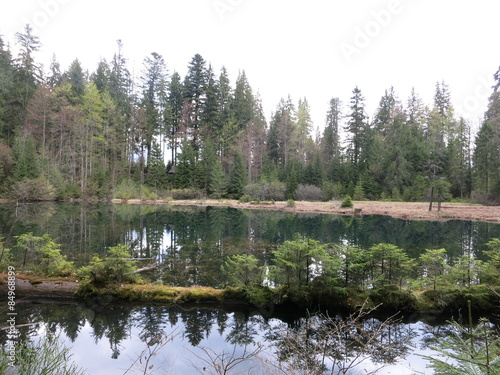 Fototapeta Naklejka Na Ścianę i Meble -  Затерянный мир лесного озера