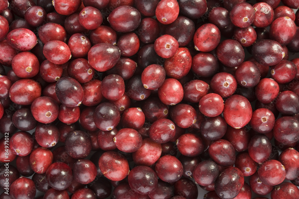 cranberry cranberry