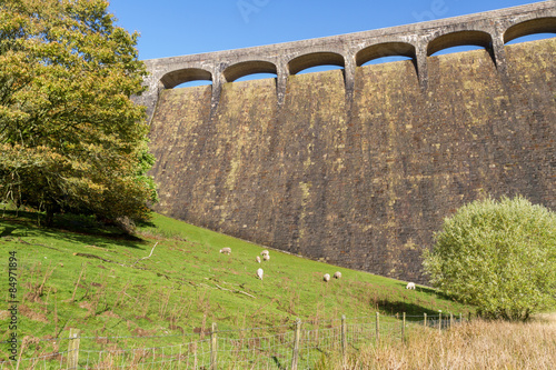 The Claerwen Dam, field in foreground