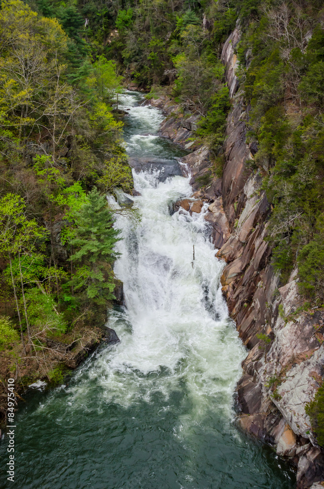 Fototapeta premium Toccoa Falls