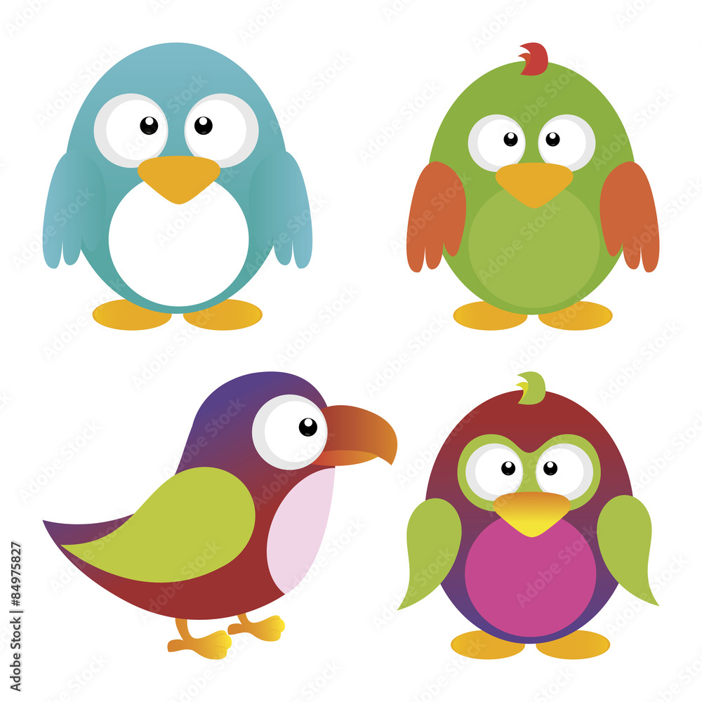 Birds Birds