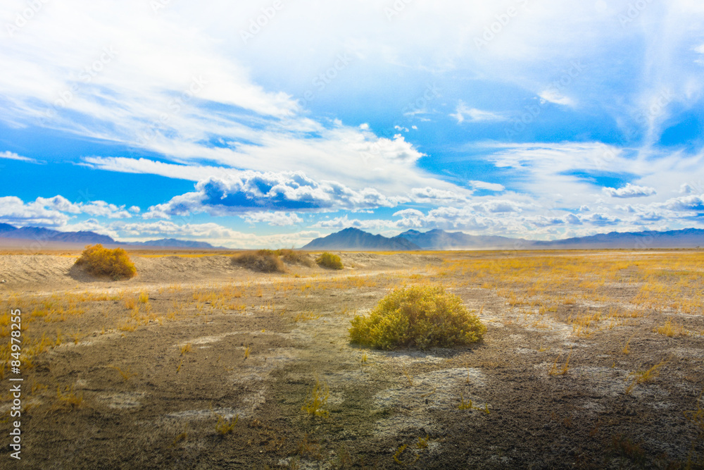 Open desert pasture under a textured, blue sky near Death Valley, California