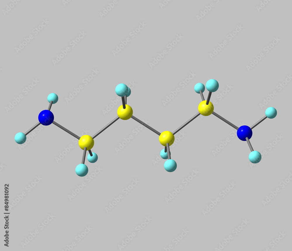 Fototapeta premium Putrescine molecule isolated on grey