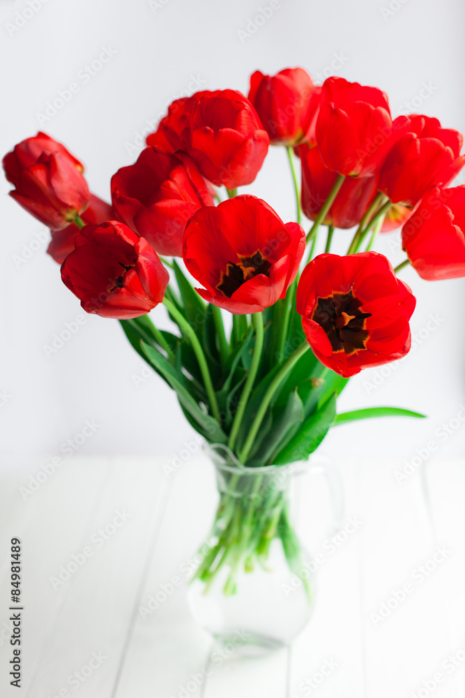 Red tulips closeup on white Red tulips closeup on white