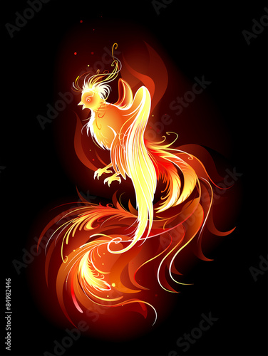 fiery bird