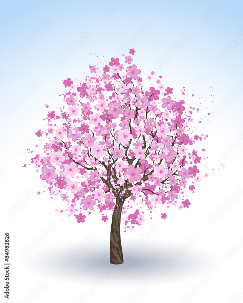 Fototapeta premium flowering cherry tree