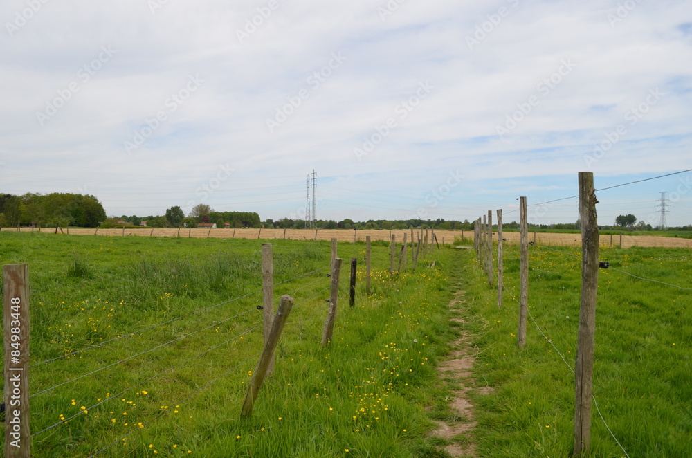 Small path lined by fence in rural area
