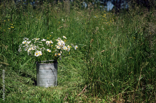 Bouquet of wild natural flowers