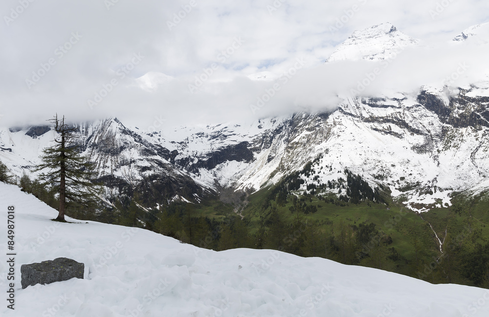 Fototapeta premium snow-capped Alps