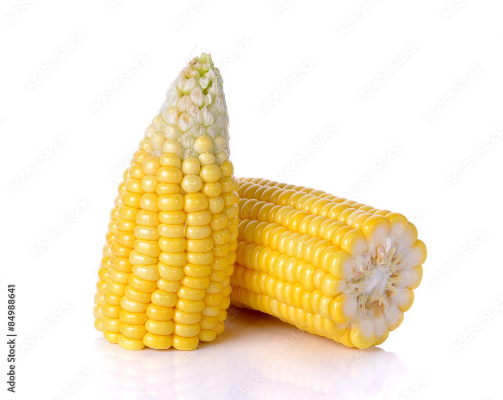 corn isolated on the white background corn isolated on the white background
