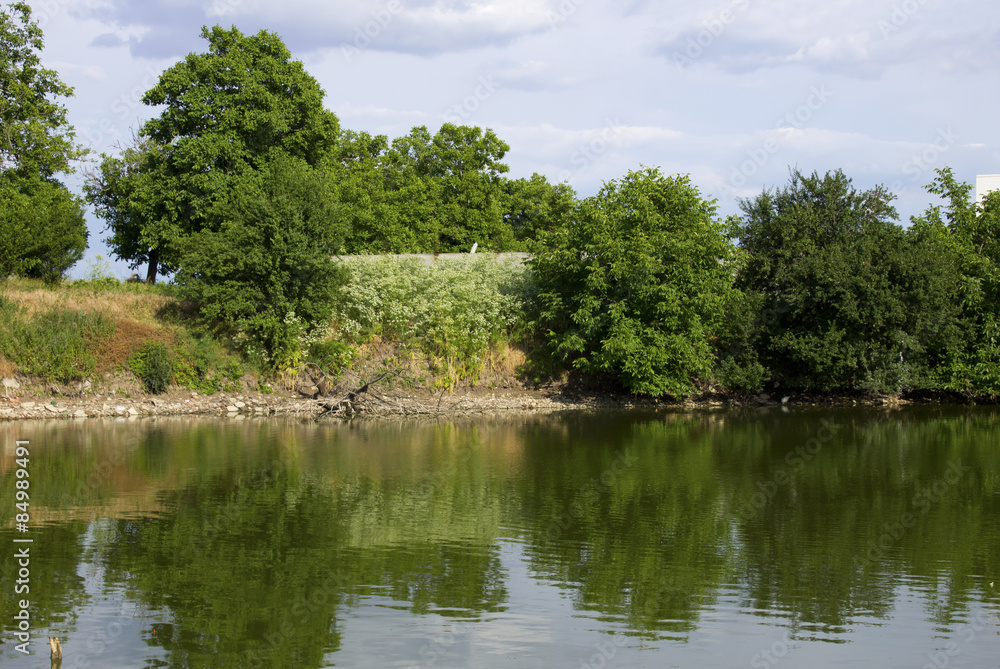 Fototapeta premium Summer landscape with lake and blue sky
