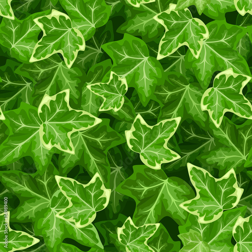 Seamless pattern with ivy leaves. Vector illustration.