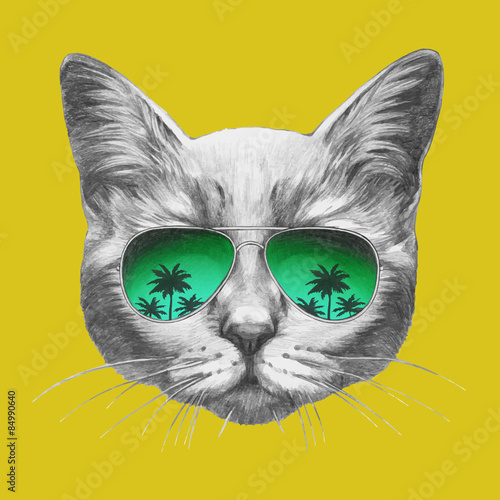 Hand drawn portrait of Cat with mirror sunglasses. Vector isolated elements. photo