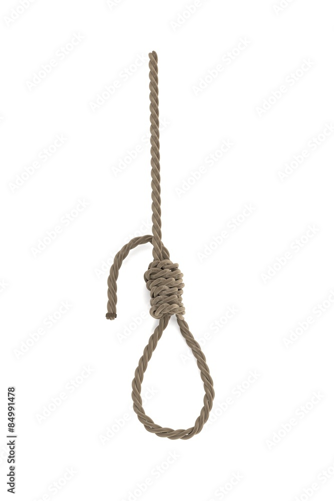 realistic 3d render of rope