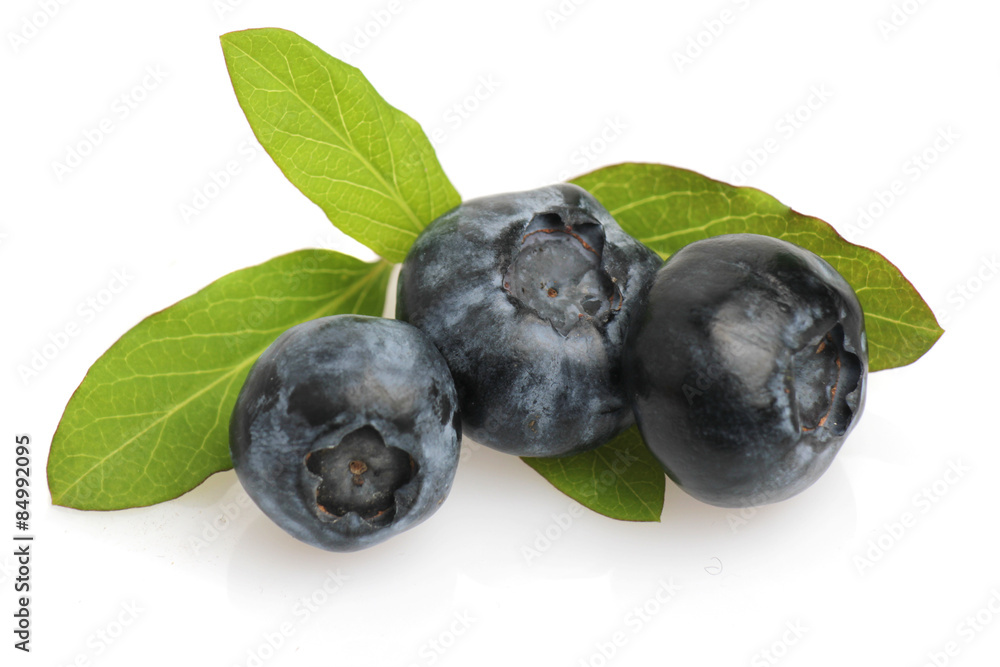Blueberries isolated on white background Blueberries isolated on white background