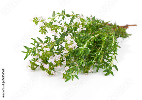 thyme fresh herb isolated on white background