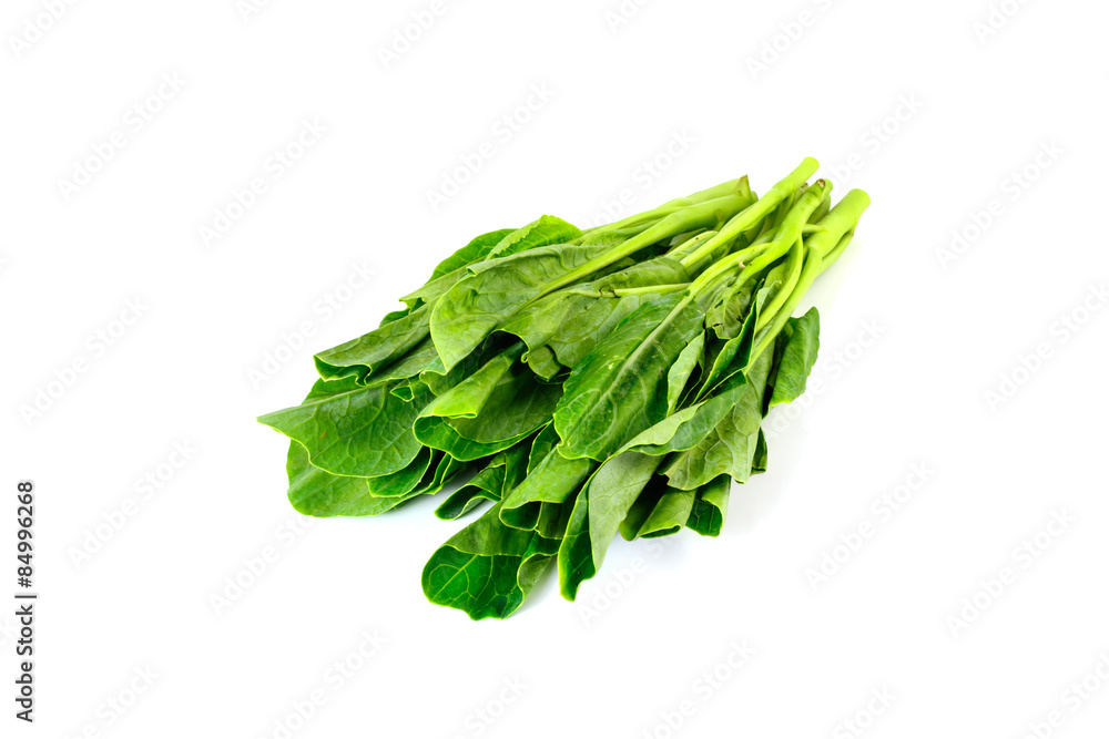fresh chinese kale vegetables isolated on white fresh chinese kale vegetables isolated on white