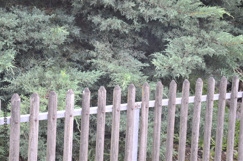 Gartenzaun Gartenzaun
