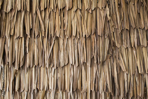 Fotografie, Obraz Dried palm texture