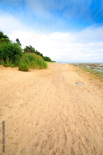 tropical seashore