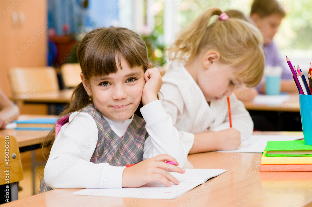 smiling schoolgirl looking at camera during lesson smiling schoolgirl looking at camera during lesson