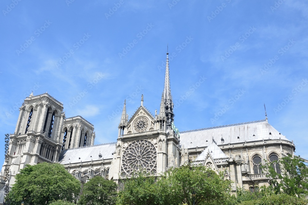 Notre dame from boat on river seine