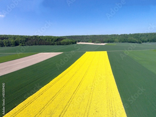 Luftbildaufnahme von Raps-und Getreidefelder.