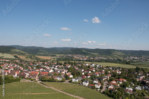 Weinberge