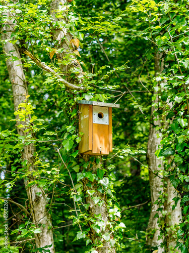 Birdhouse in the forest