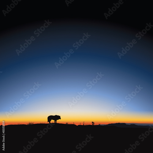 Majestic sunrise and wolf