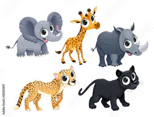 Funny african animals