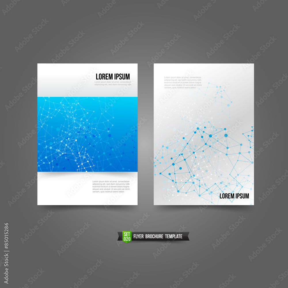 Flyer Brochure background templated 020 network connection conce