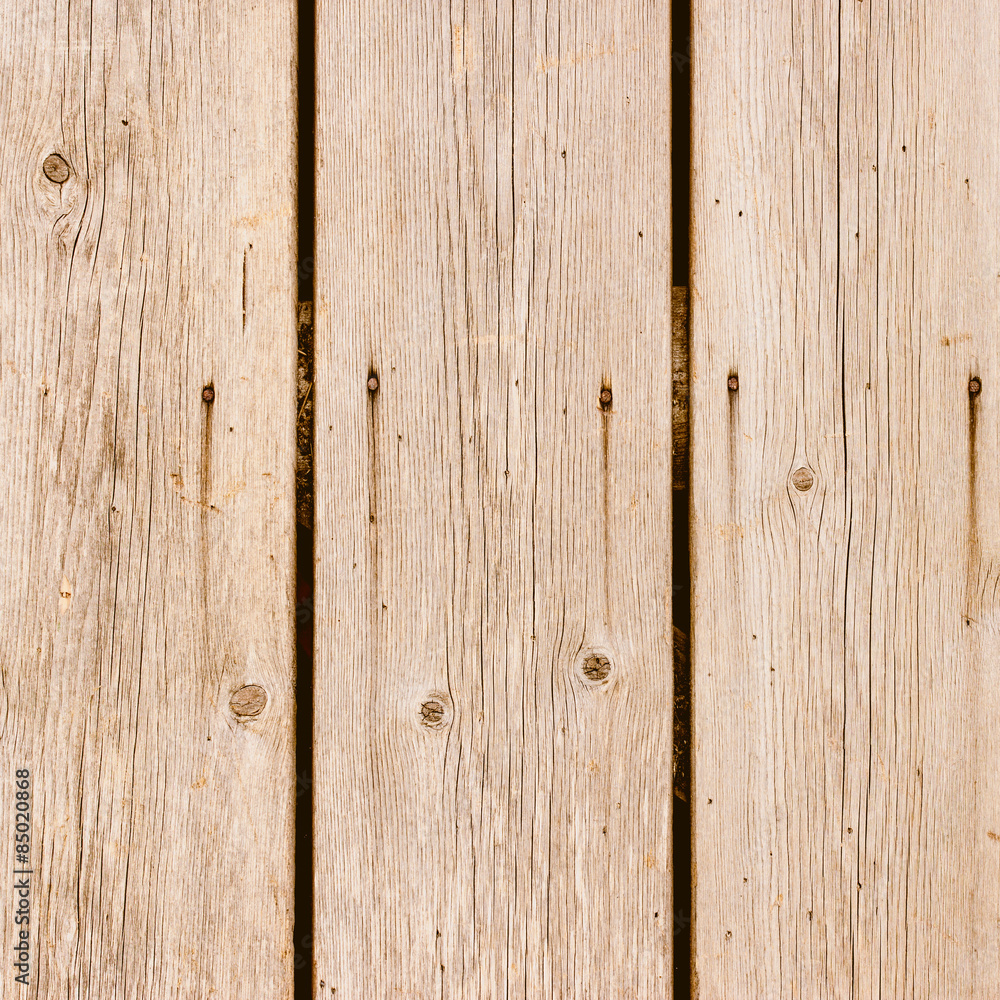 Fototapeta premium The old wood texture with natural patterns