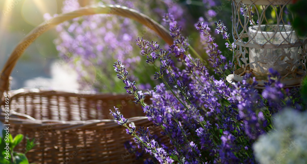 Fototapeta premium kwitnące kwiaty w pobliżu domu w Prowansji