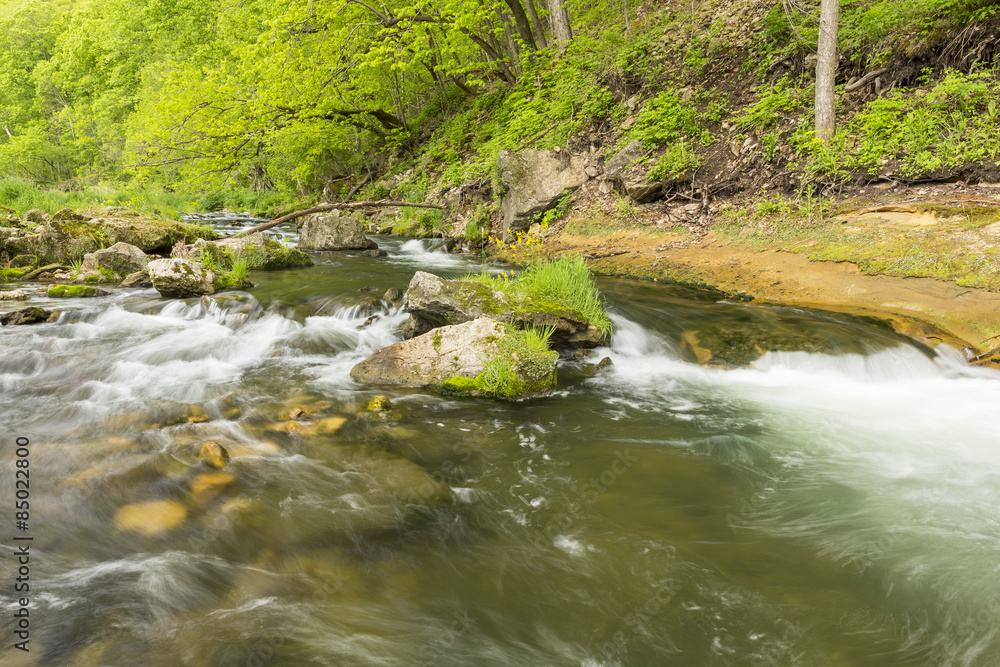 Obraz premium Whitewater River In Spring