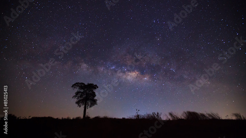 Silhouette of tree and beautiful milkyway on a night sky. Long e