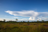 landscape blue sky with cloud at Phu Hin Rong Kla National Park,