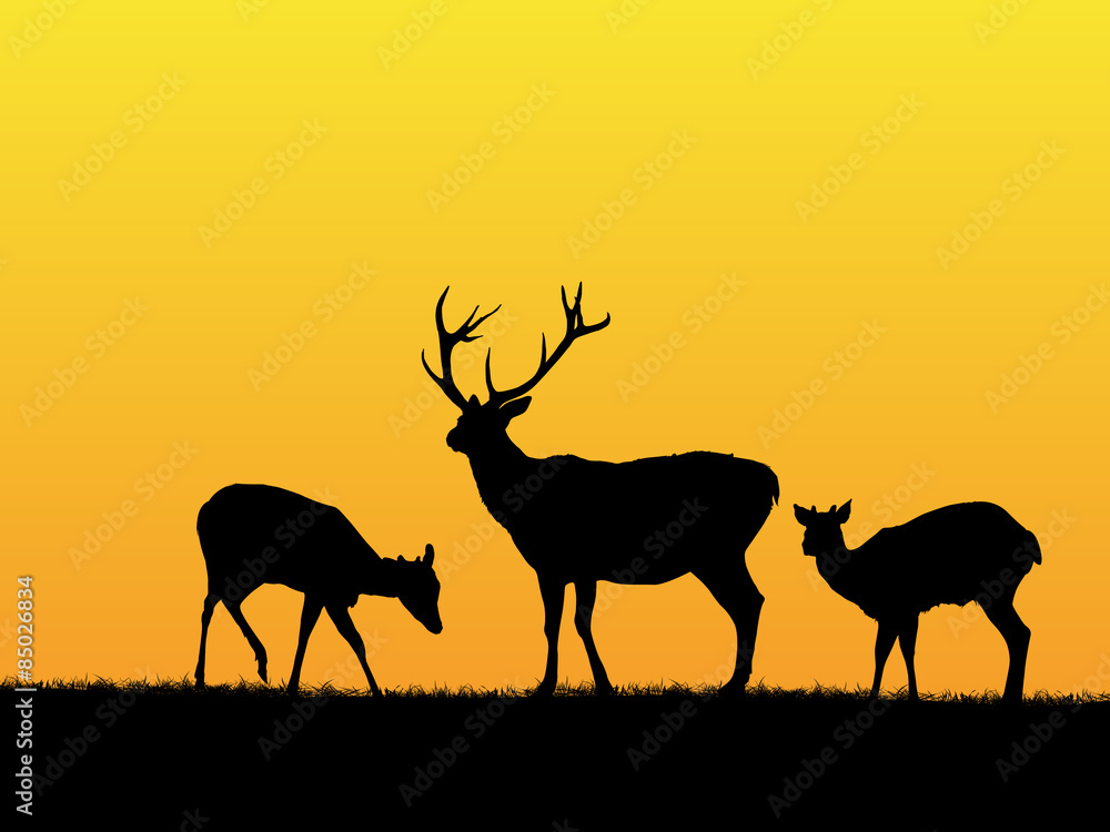 Deer background
