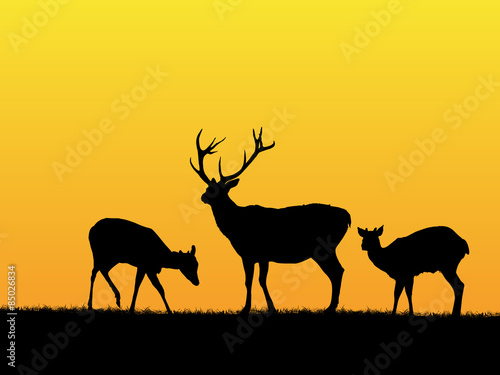 Deer background © Richard Laschon